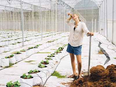 Blood Tests For Fatigue Medical Health Testing From Home