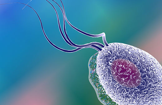 Chlamydia, Gonorrhoea & Trichomoniasis Home Test Kit UK Chlamydia, Gonorrhoea & Trichomoniasis Home Test Kit UK